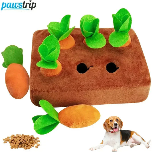Interactive Carrot Chew Toy