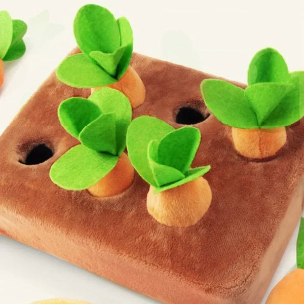 Interactive Carrot Chew Toy